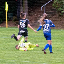 Antiesenhofen - Kleinmünchen1b