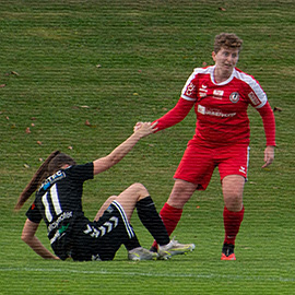 Antiesenhofen - Steyr