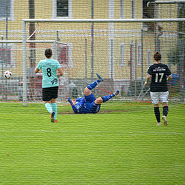 Dorf - Niederthalheim