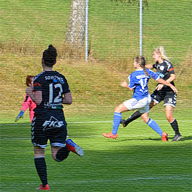 Nebelberg - Antiesenhofen